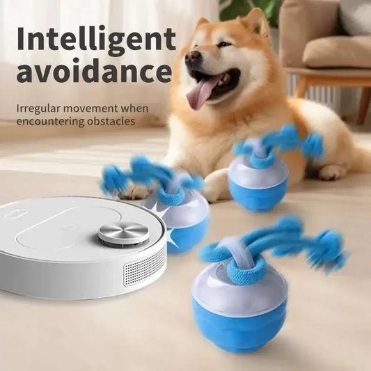 Pelota interactiva automatica para mascotas